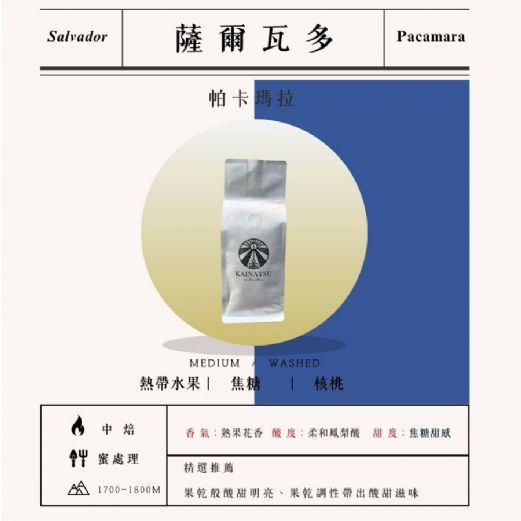 薩爾瓦多 帕卡瑪拉 蜜處理